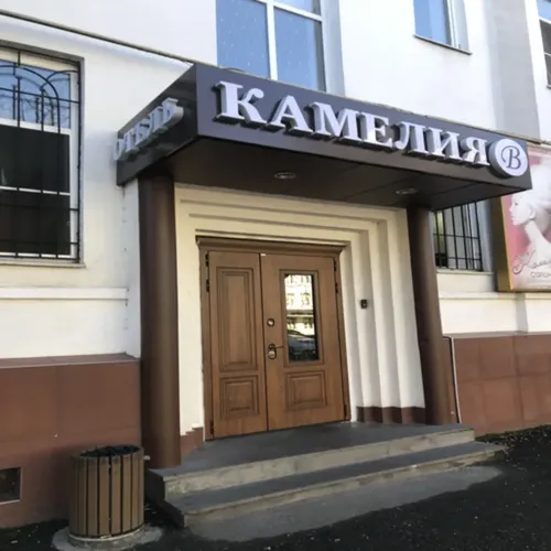Камелия 3* (г. Владикавказ)