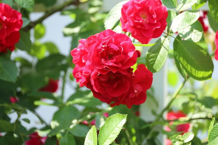 Автобус | Золотая Орда: от Волгограда до Астрахани из Твери