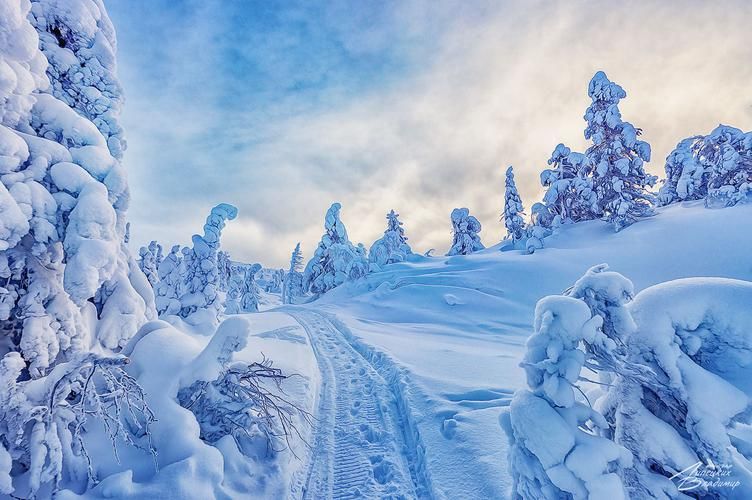 Снежные легенды рождества (промо)