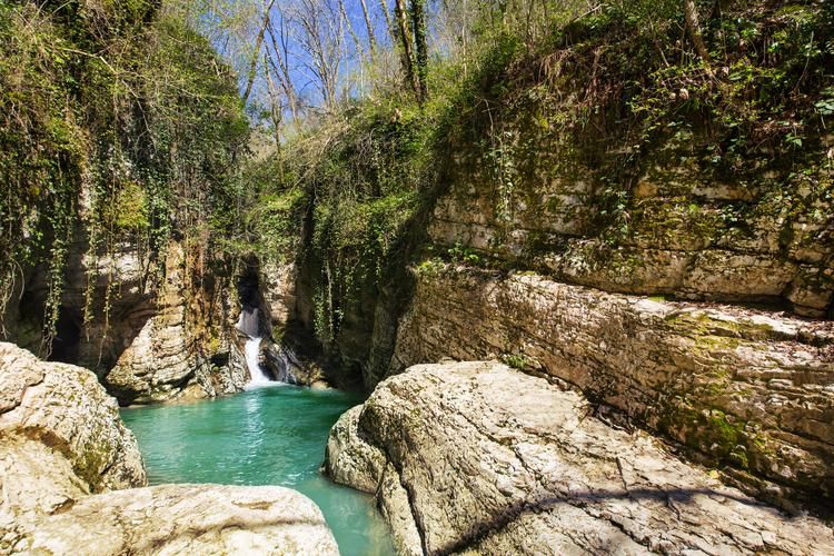 Рождество и Новый год по-грузински