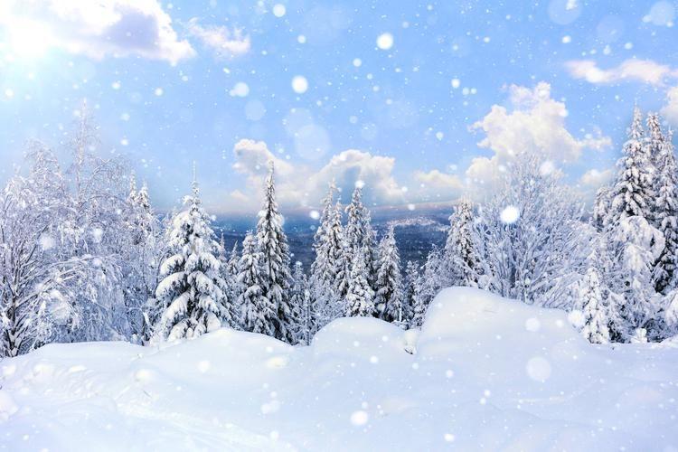 Новогодние каникулы в атмосфере русской литературы