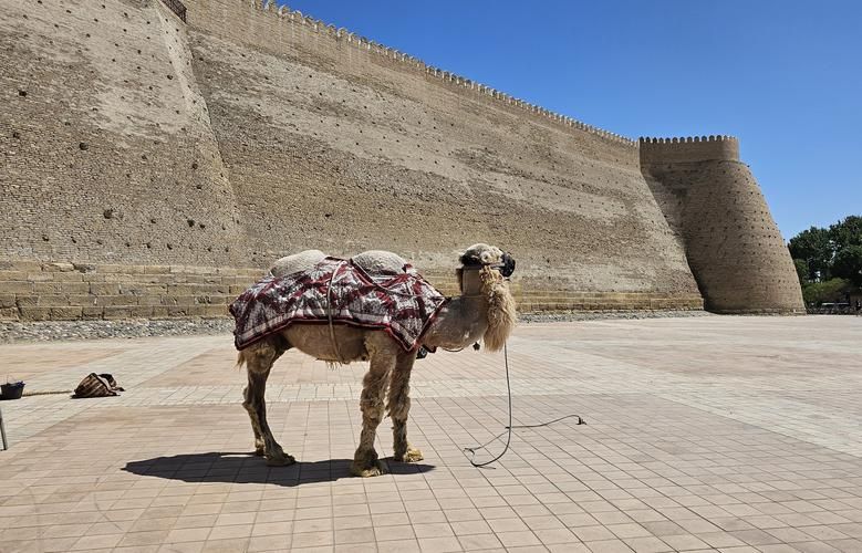 Рождество в Самарканде