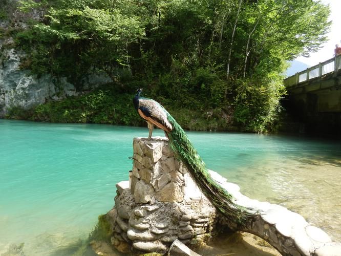 Абхазская симфония 7 дней