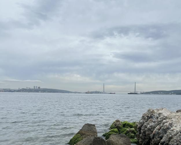 Мосты и панорамы Владивостока