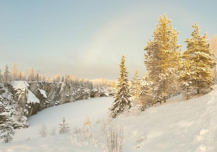 Рождество в деталях