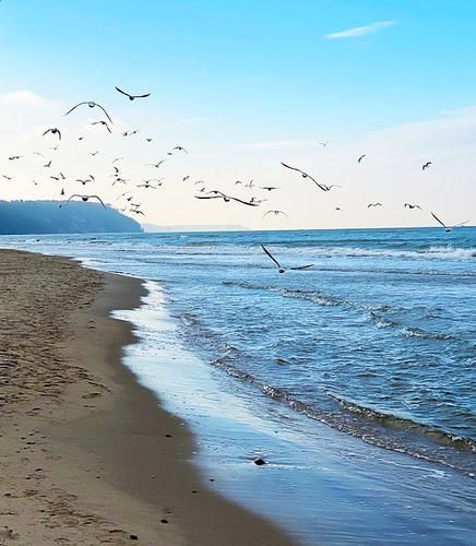 Автобус| Лето на Селигере: 7 дней в зоне комфорта