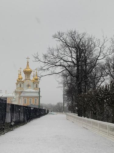 Петербург встречает Новый год: сказка, музыка и шампанское 7 дней