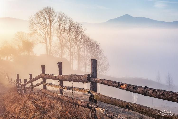 Автобус| Морская Грузия: путешествие по Кутаиси, Батуми и Тбилиси