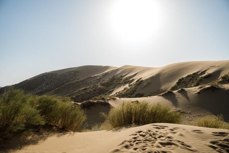 Снежные тропы Дагестана