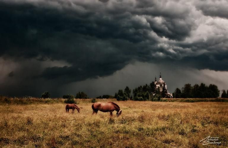 Волжские впечатления в Лунёво