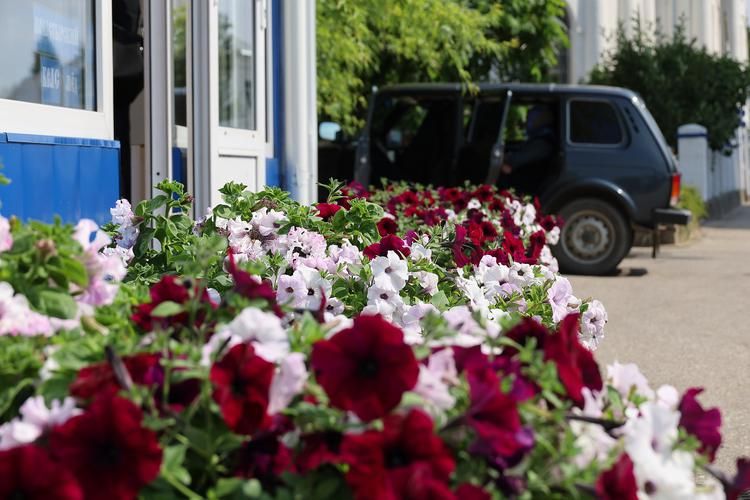 Автобус | Золотая Орда: от Волгограда до Астрахани