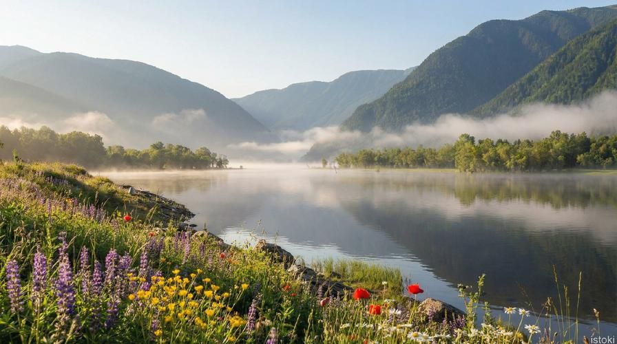 Алтай — скорость вдохновения