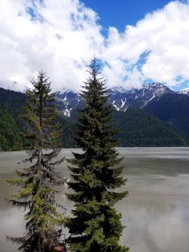 Автобус| Солнечная Абхазия