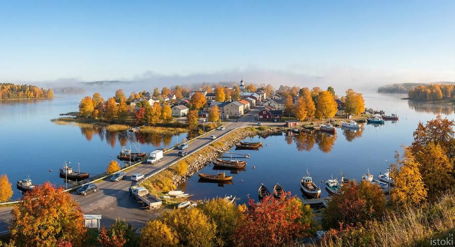 Автобус| Музы на крыльях: где искусство взлетает