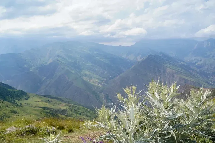 Майские каникулы на Сахалине (промо)