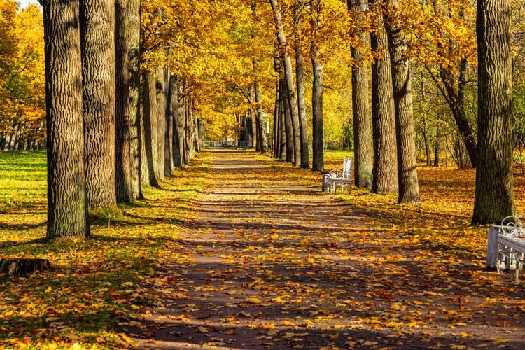 Автобус| Сокровища Селигера. Комфорт-тур