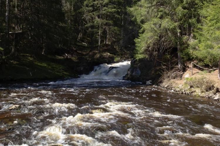 Русский Север: в гостях у природы и традиций