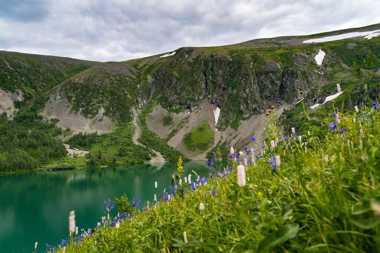 Где ледники хранят воспоминания тысячелетий