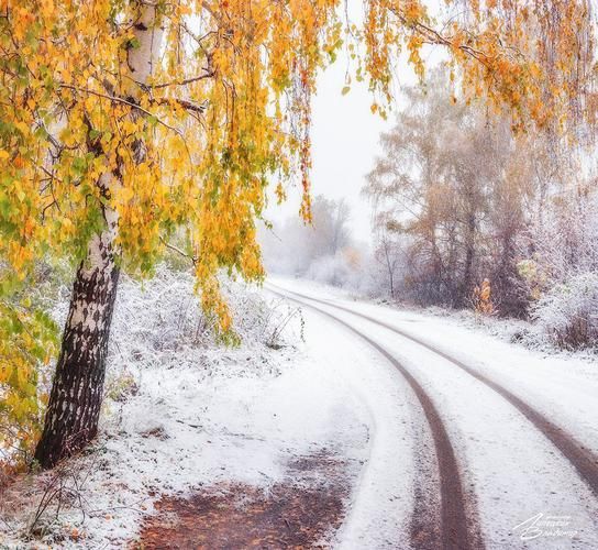 Новогодние переливы былинного Мурома (промо)