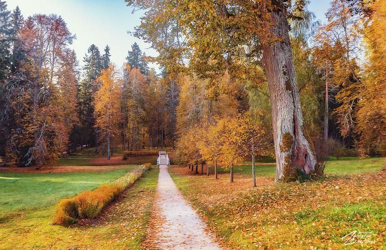 Под княжеским стягом (промо)