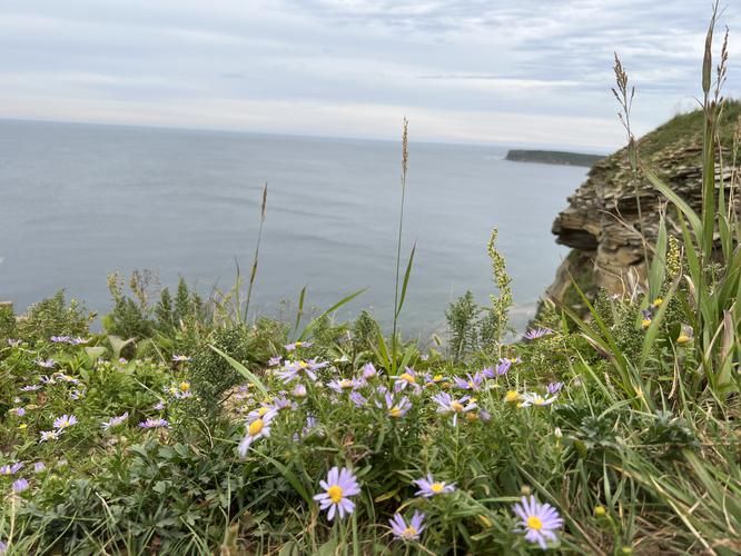 Морские каникулы