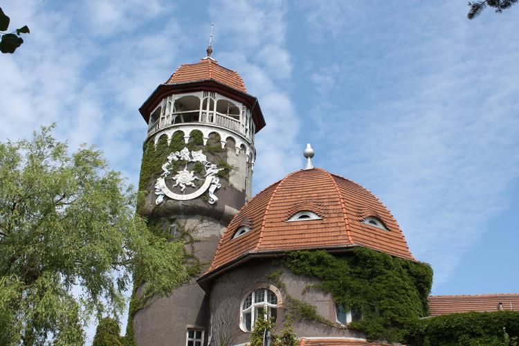 Новогодняя магия Калининграда