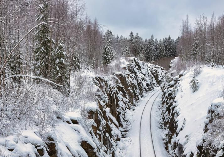 Сказочный Новый год в деревне мечты