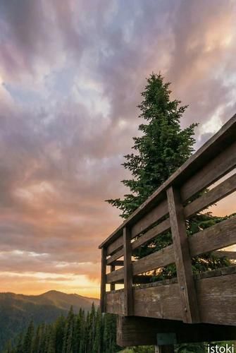 Автобус| Алтайские горизонты: сказка, ставшая реальностью