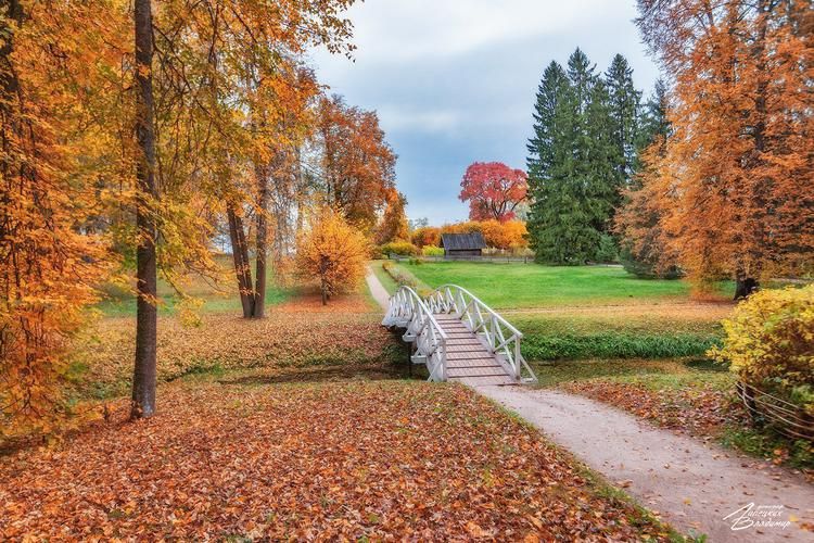Автобус| Святая земля: путешествие по монастырям и историческим местам