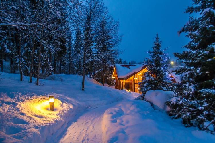 Автобус| Вкусные традиции Нового года в Выборге