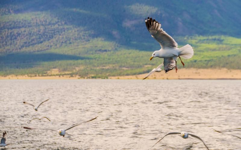 Величественное путешествие по Приморскому краю