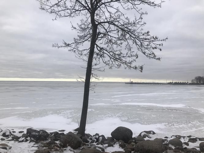 Новогодняя сказка русской Балтики: в путешествии по брендам и традициям