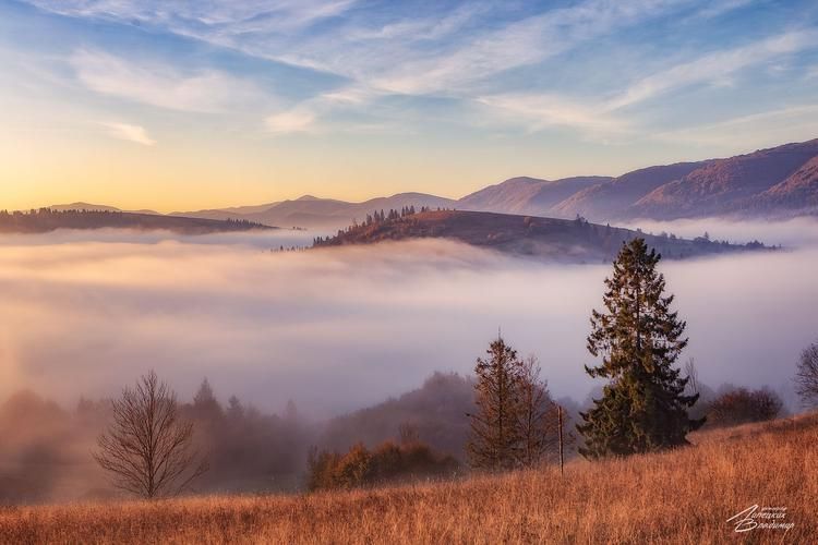 Автобус | Золотая Орда: от Волгограда до Астрахани из Нижнего Новгорода