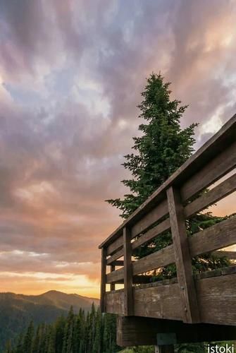 Алтайская симфония чувств