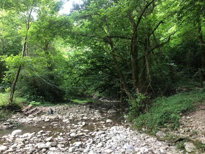 Кубань дарит солнце