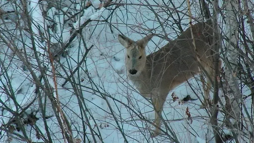 ПЕШИЙ ТУР НА ШУМАК: ЦЕЛЕБНЫЕ ИСТОЧНИКИ