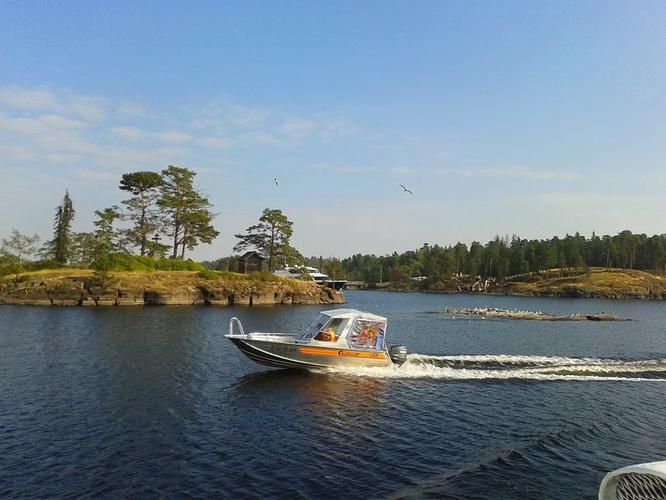 Водопады, гранат, альпаки и тигры: путешествие в Карелию