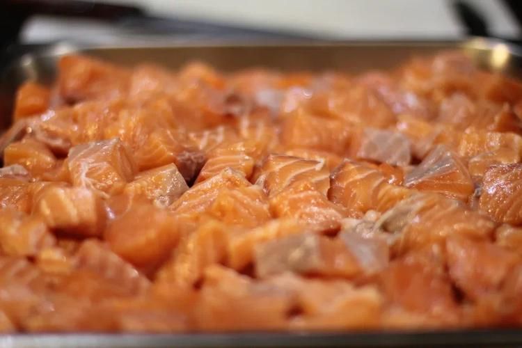 Карельский маршрут на катере