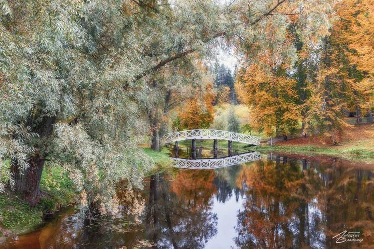 Автобус| Про Пушкина и не только