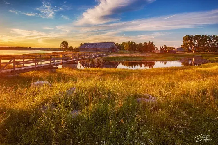 Автобус | Болгар и Гарибальди: в гостях у истории