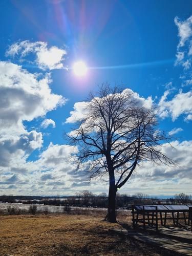 Автобус| Легенды и сокровища Селигера