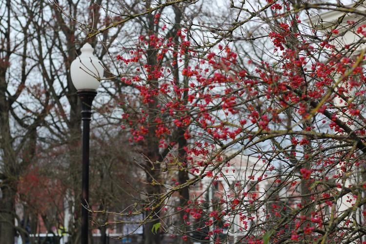 В Калининград каждый день. Цикличный тур ( промо)