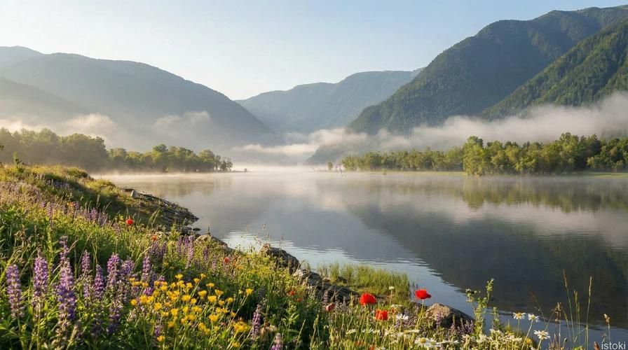 Автобус| К жемчужине Алтая: путешествие к Телецкому озеру