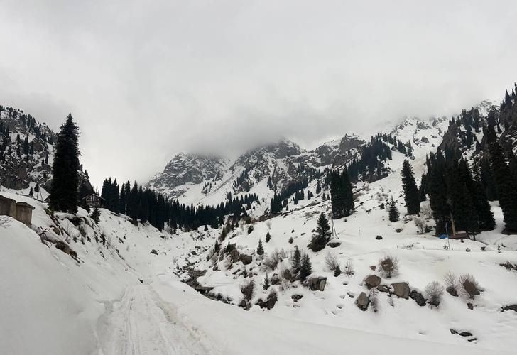 Автобус| Зимнее великолепие гор Кавказа: в гостях у природы, снега и гостеприимства из Ульяновска